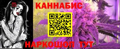 дмт Славгород