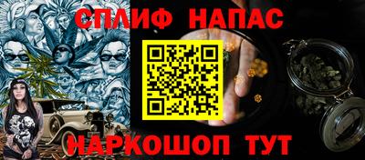 дмт Славгород