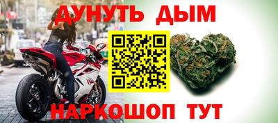 прущие грибы Ставрополь