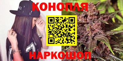 прущие грибы Ставрополь