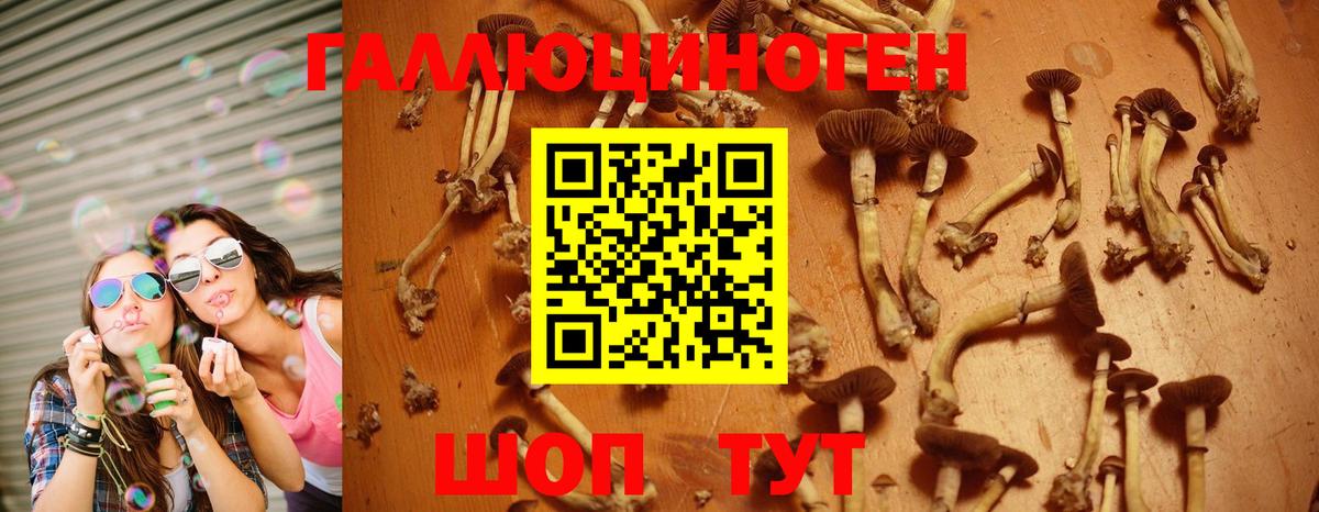 Псилоцибиновые грибы ЛСД  Вход с VPN  Норильск  Галлюциногенные грибы ЛСД 